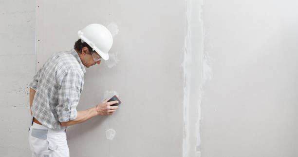 Best Drywall Sanding and Smoothing  in Sherman, TX