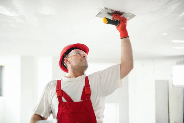 Best Water-Damaged Drywall Repair  in Sherman, TX